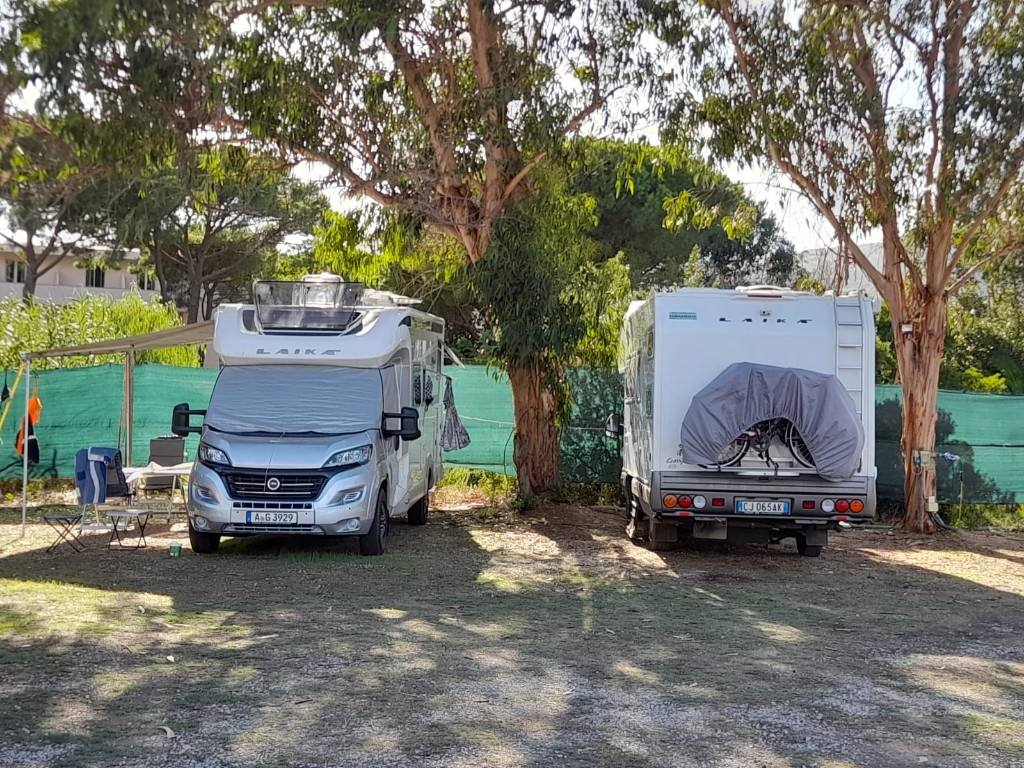Due camper in sosta all'ombra degli eucalipti